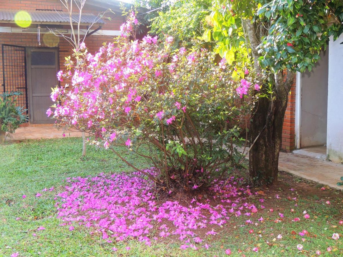 Posada Madre America San Ignacio  Exterior foto